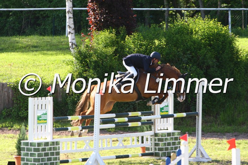 005M5834_Paulinchen_M Springen.JPG